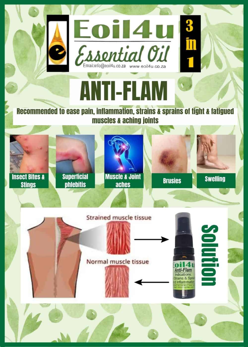Aniti flam anti inflammatory