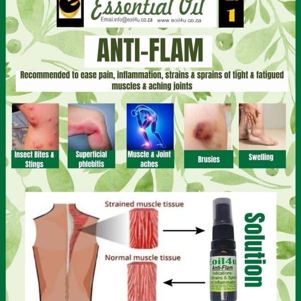 Aniti flam anti inflammatory